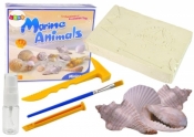 Zestaw archeologiczny zwierzęta morskie
