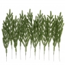 Gałązki cedru 35cm 12szt