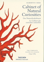 Cabinet of Natural Curiosities - Seba Albertus