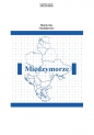Międzymorze - Marek Jan Chodakiewicz, Marek Jan Chodakiewicz