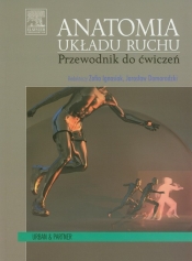 Anatomia układu ruchu - <br />
