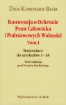 Konwencja o ochronie praw człowieka i Podstawowych Wolności Tom 1