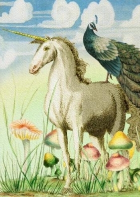 Karnet B6 z kopertą Jednorożec i paw