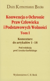 Konwencja o ochronie praw człowieka i Podstawowych Wolności Tom 1 - <br />