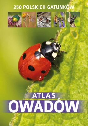 Atlas owadów - Kamila Twardowska, Jacek Twardowski