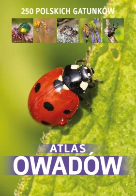 Atlas owadów - Twardowska Kamila, Twardowski Jacek