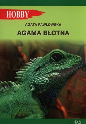Agama błotna - Pawłowska Agata