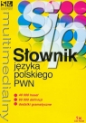 Multimedialny słownik języka polskiego