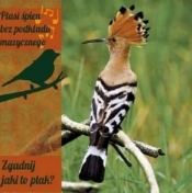Ptasi śpiew bez pod. muz. Zgadnij jaki to ptak? CD - Opracowanie zbiorowe