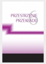 Przestrzenie przekładu T.6 praca zbiorowa