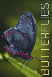 Kalendarz 2021 Ścienny Butterflies CRUX