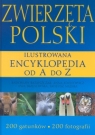 Zwierzęta Polski Ilustrowana encyklopedia od A do Z