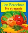 Na straganie