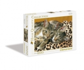 Puzzle Koty 1000 (39237)