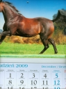 Kalendarz 2010 KT17 Koń trójdzielny