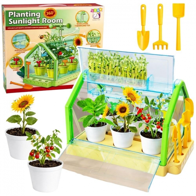 Mini ogódek edukacyjny szklarnia