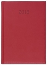 Kalendarz 2016 Książkowy A5 dzienny VIVO czerwony