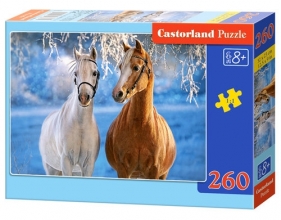 Puzzle 260: The Winter Horses