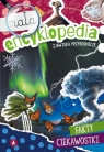 Mała encyklopedia. Zjawiska przyrodnicze Monika Ślizowska