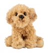 Pies Labradoodle