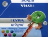 Lyra Temperówka Groove 24 sztuki (L7301150 FIL)