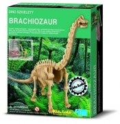 Dino szkielety Brachiosaurus (3237)