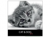 Kalendarz 2019 13 pl. 30x30 szyty Cat&Dog DAN-MARK