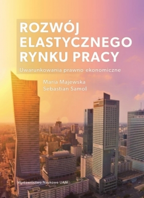 Rozwój elastycznego rynku pracy Uwarunkowania prawno-ekonomiczne - Maria Majewska, Samol Sebastian