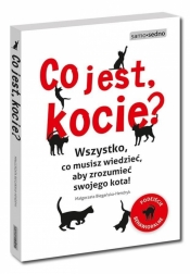 Co jest, kocie? (Uszkodzona okładka)