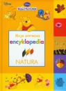 Kubuś Puchatek Moja pierwsza encyklopedia Natura (48380)