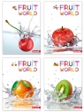 Brulion Dan-Mark fruit world A5 linia 96 Danmark