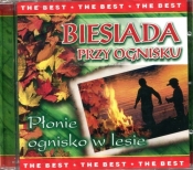Biesiada przy ognisku