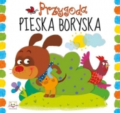 Przygoda pieska Boryska - Anna Podgórska
