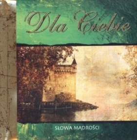 Dla Ciebie. Słowa mądrości + torebka - Ben Alex