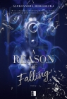 A Reason of Falling Aleksandra Horodecka