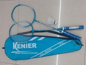 Badminton