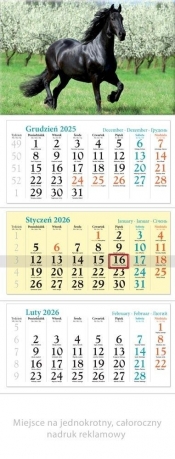 Kalendarz 2026 ścienny trójdzielny Koń