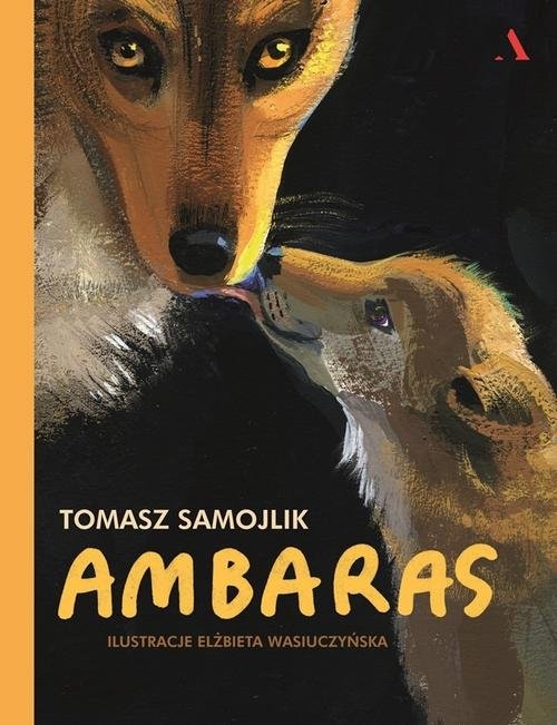 Ambaras Samojlik Tomasz