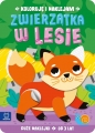 Koloruję i naklejam. Zwierzątka w lesie. Duże naklejki od 3 lat