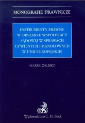 Instrumenty prawne w obszarze współpracy sądowej w sprawach cywilnych i handlowych w Unii Europejskiej