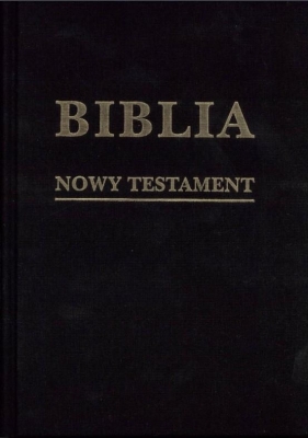 Biblia w zarysie. Nowy Testament płótno - Opracowanie zbiorowe