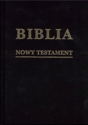 Biblia w zarysie. Nowy Testament płótno - Opracowanie zbiorowe