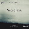 Szczelina audiobook Jozef Karika