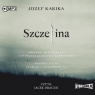  Szczelina audiobook