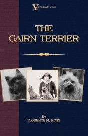 The Cairn Terrier
