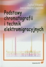 Podstawy chromatografii i technik elektromigracyjnych Witkiewicz Zygfryd, Kałużna-Czaplińska Joanna