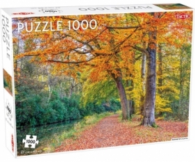 Puzzle 1000: Pathway by a canal
