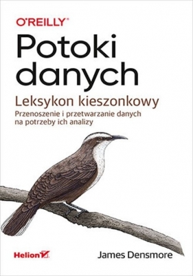 Potoki danych Leksykon kieszonkowy - James Densmore