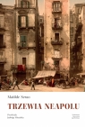 Trzewia Neapolu Matilde Serao