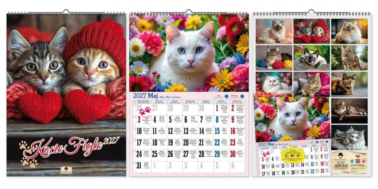 <img src='https://webimage.pl/pics/385/0/d5908015730385.png'>